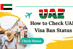 How to Check UAE Visa Ban Status with Passport Number 2025