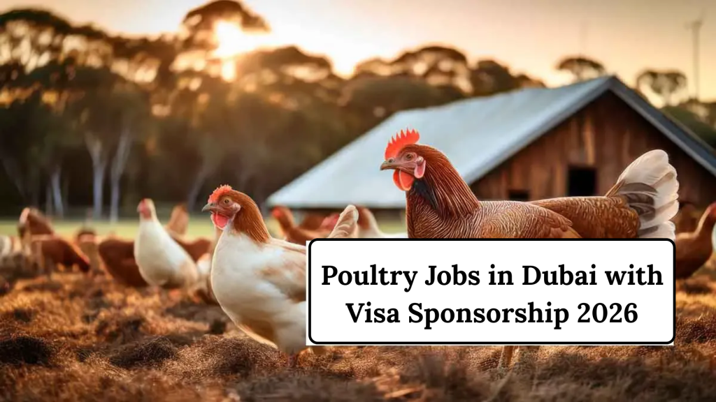 Poultry Jobs in Dubai with Visa Sponsorship 2026