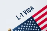 L1 Visa Guide for Singaporeans